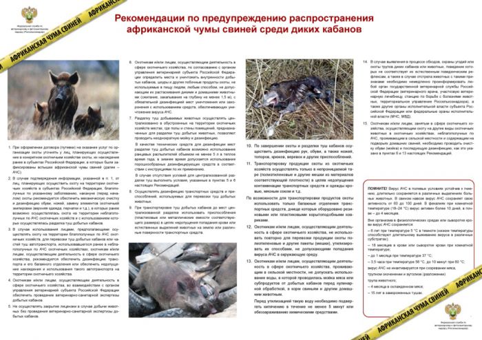 Рекомендации по предупреждению распространения африканской чумы свиней среди диких кабанов